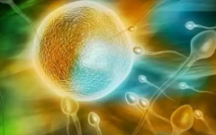 山西省汾陽醫(yī)院試管費用