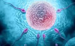 直接去泰國醫(yī)院做試管