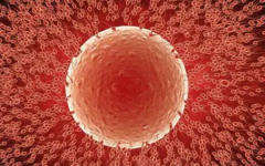 沒有卵子可以做試管嬰兒嗎