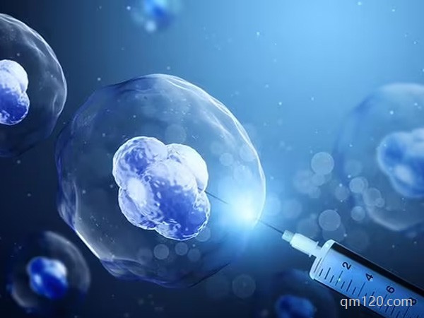 ppos試管方案步驟