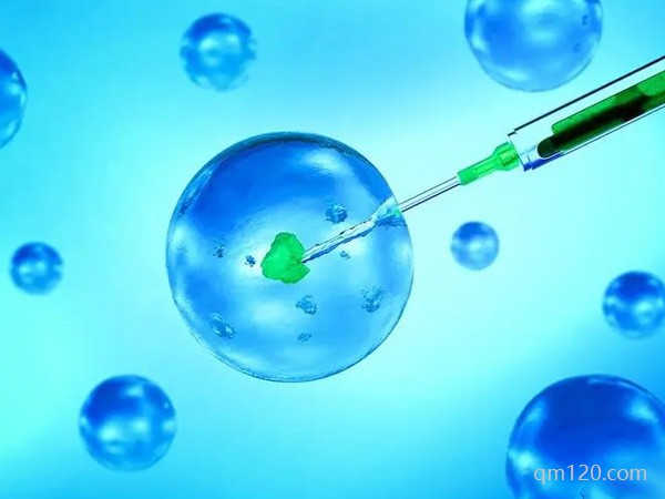 試管長(zhǎng)方案要多少錢(qián)