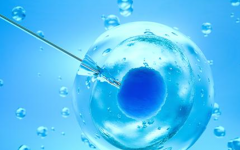 齊齊哈爾第一醫(yī)院試管嬰兒成功率