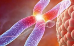 渡堂醫(yī)院試管嬰兒多少錢