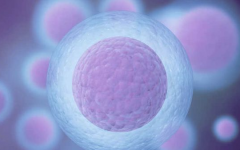 泰國做試管嬰兒靠譜嗎