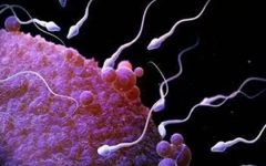 精神病人可以做試管嬰兒嗎