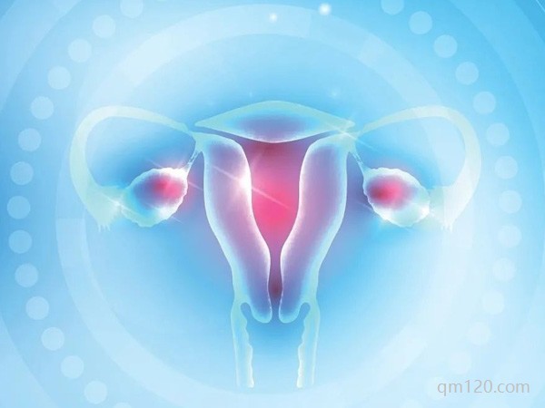 卵巢早衰適合做幾代試管