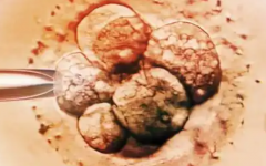 天津中心婦產(chǎn)做試管大概多少錢