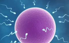 自助去泰國試管嬰兒