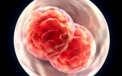 牡丹江市婦幼保健院試管多少錢