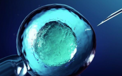 陜西省試管助孕中心做試管費用預(yù)估