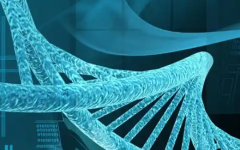 江蘇省試管助孕中心做試管嬰兒大概多少錢