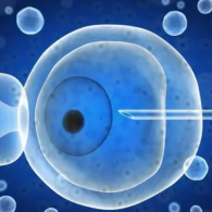 烏魯木齊試管嬰兒