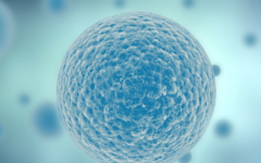 柳州市試管助孕中心試管嬰兒費(fèi)用一般多少