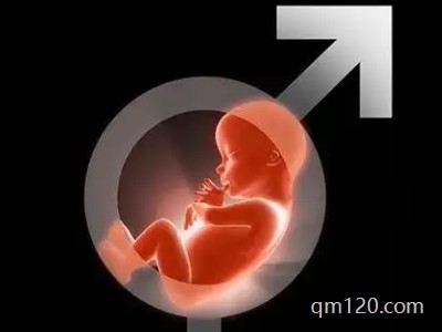 安陽三代試管嬰兒