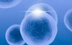 中信雅湘醫(yī)院試管嬰兒需要多少錢一次