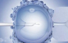 宜春試管助孕中心做試管價(jià)格公布