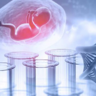 三代試管成功率