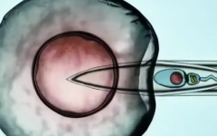 宜昌市第一試管助孕中心試管嬰兒