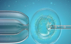 廈門174試管多少錢