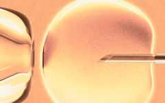 武漢試管大學雅湘醫(yī)院做試管嬰兒全部明細費用