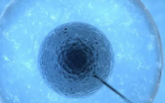 南京醫(yī)科大學(xué)第二附屬醫(yī)院試管價(jià)格