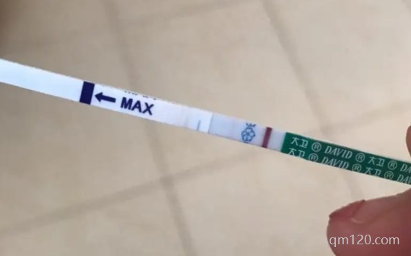 移植第一3天白板是沒希望了嗎