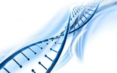 德州試管助孕中心做試管大概費用是多少