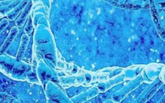 皖北煤電集團(tuán)輔助生殖醫(yī)院試管嬰兒價(jià)格揭秘