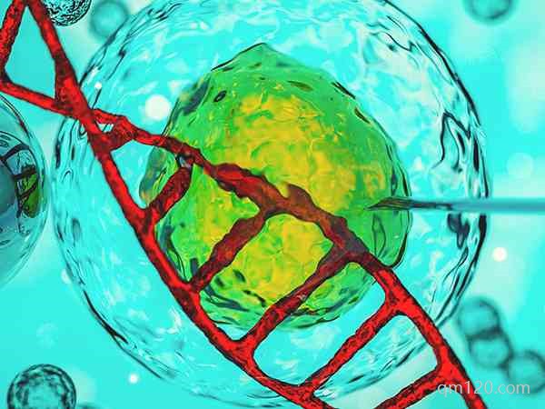 羅氏易位三代試管成功率