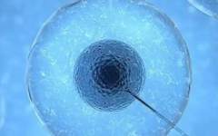 浙江大學(xué)醫(yī)學(xué)專業(yè)附屬第四醫(yī)院試管多少錢