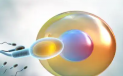 玉林市第一試管助孕中心試管嬰兒費(fèi)用