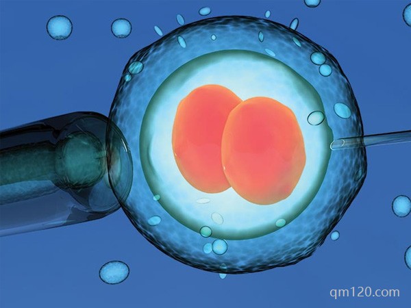 卵子質(zhì)量不好試管沒(méi)希望了