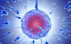 死精癥可以做試管嗎