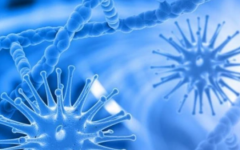 新鄉(xiāng)市婦幼保健院試管多少錢