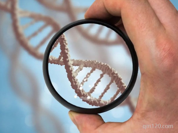 基因有問題做三代試管有用嗎