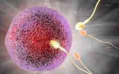 做試管哪家醫(yī)院成功率比較高