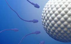 六安市試管助孕中心試管多少錢