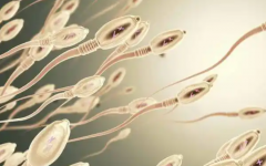 濟南市婦幼保健院做試管嬰兒成功率多高