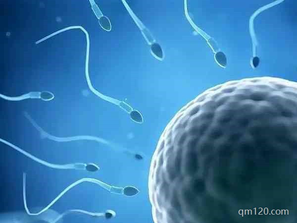 人工授精要去醫(yī)院幾次