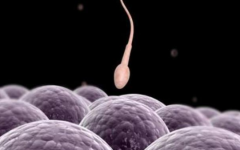 泉州市中醫(yī)院試管嬰兒費用多少左右