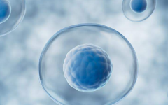 廣州大學(xué)城中醫(yī)院試管需要的費(fèi)用是多少