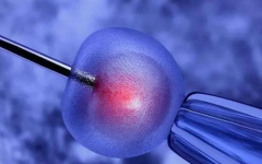 去泰國(guó)做試管需要去幾次