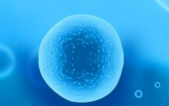 三代試管包成價格表