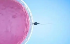 湛江久和醫(yī)院試管費(fèi)用多少錢