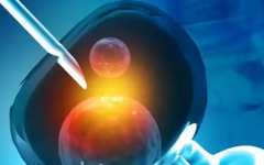 拉達(dá)生殖診所助孕價(jià)格