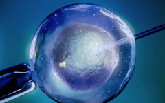 泰國(guó)三代試管一次費(fèi)用