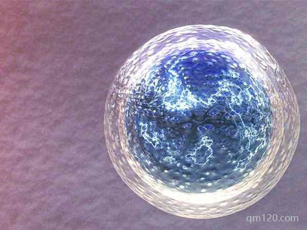 卵子保存的最佳年齡