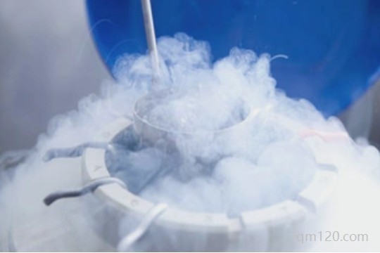 卵子保存復蘇成功率