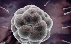 徐州婦幼保健院做試管成功幾率多大