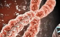 曲靖試管嬰兒收費標準